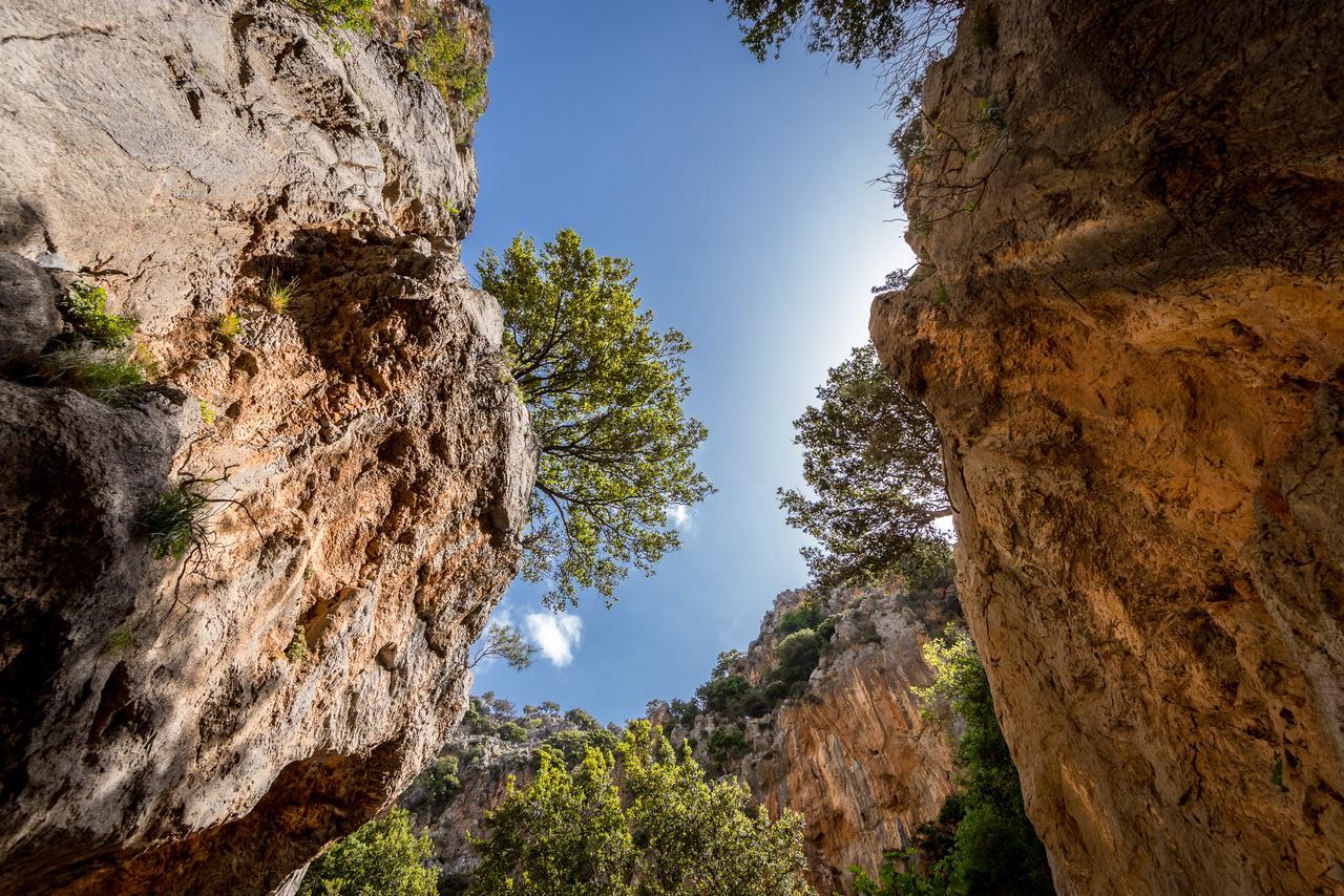 Milatos Village Cretan Agrotourism Hotel エクステリア 写真